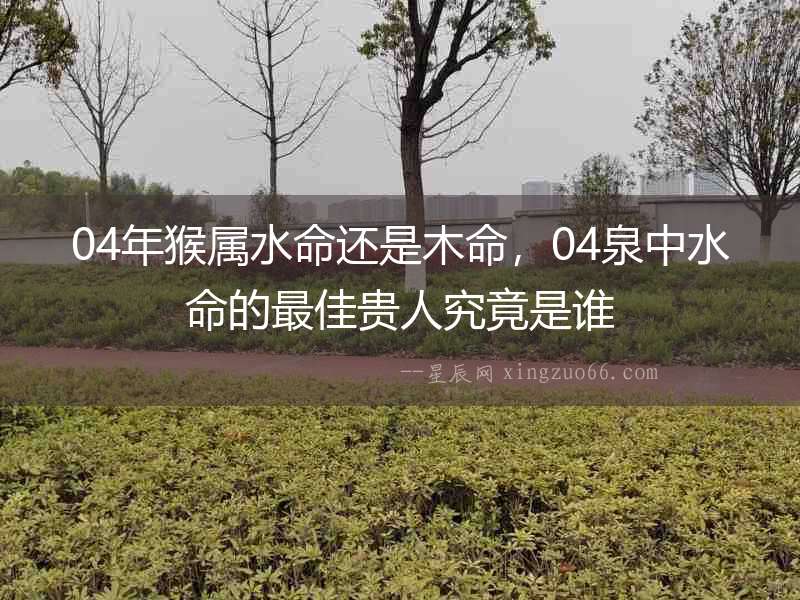 04年猴屬水命還是木命，04泉中水命的最佳貴人究竟是誰