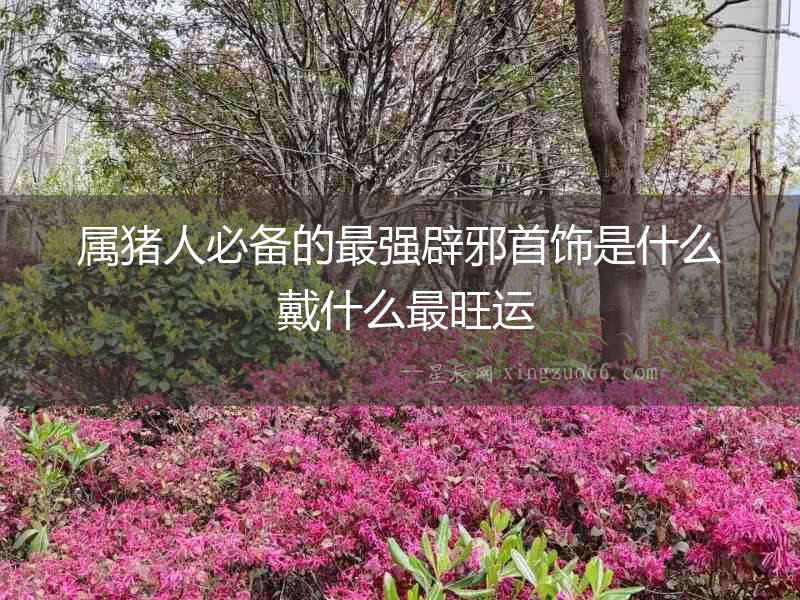 屬豬人必備的最強(qiáng)辟邪首飾是什么 戴什么最旺運(yùn)