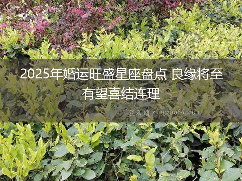 2025年婚運(yùn)旺盛星座盤點(diǎn) 良緣將至有望喜結(jié)連理